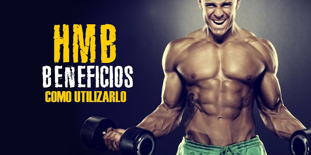 hmb: aminoácidos protector de masa muscular