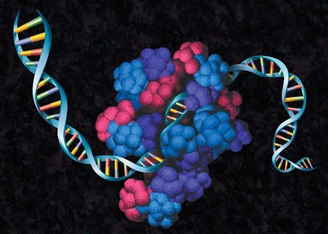 Cell-free Protein Expression