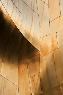 frank, gehry, frank gehry, abstract, architecture, design, photography, architectural, tim macauley, timothy macauley, I now know what it’s like to live in a jukebox, photograph, detail, building, abstraction, USA, united states, stainless steel, steel, plates, plastic, polymer,  shell, post modern, graphic, Experience Music Project, EMP, Seattle, WA, Washington, icecream, Neapolitan, box of chocolates, graphic, abstraction, detail, postmodern, structure, façade, building 