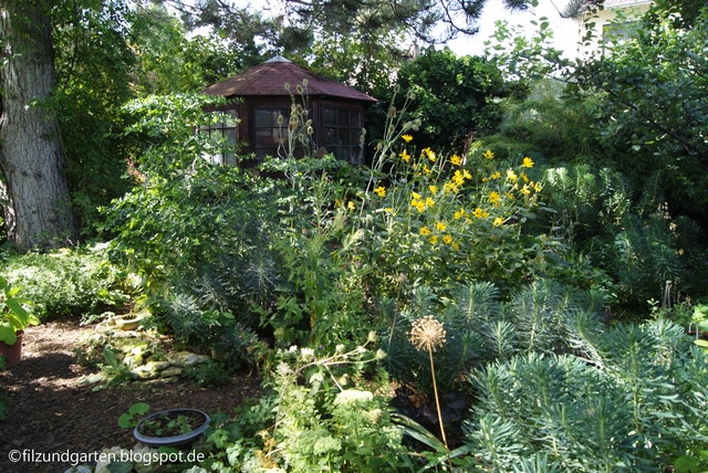 Garten im August