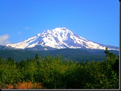 mt.shasta.mc3