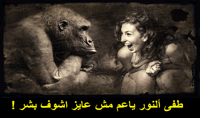 طفى ألنور ياعم - محمود بسام Tofa Alnoor Yaam - Mahmoud Bassam