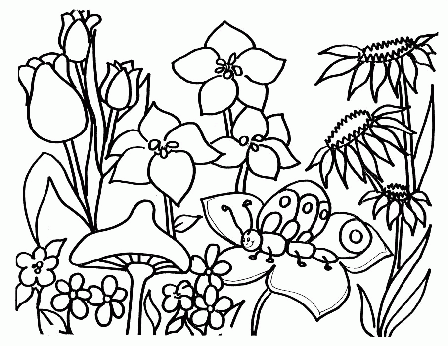 Garden Coloring Page Images For Kids