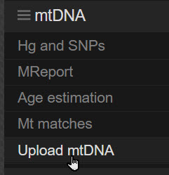 Upload mtDNA to YFull