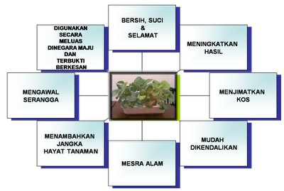 Penanaman sayur sayuran secara Hidroponik