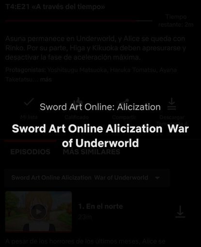 Sword Art Online: primeras dos temporadas fueron retiradas de