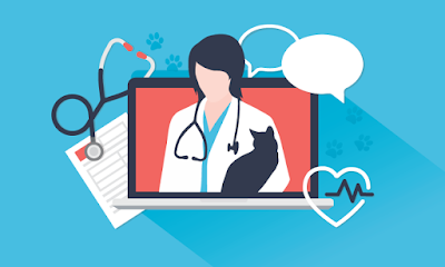 telemedicine for veterinary practices