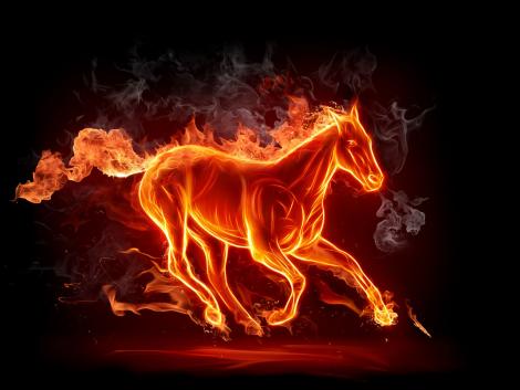 free horse wallpaper. Free Desktop Fire Horse