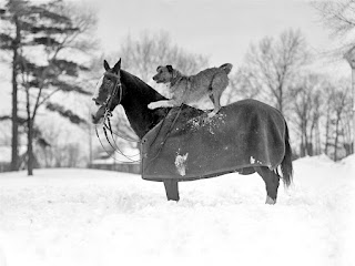 Vintage Winter