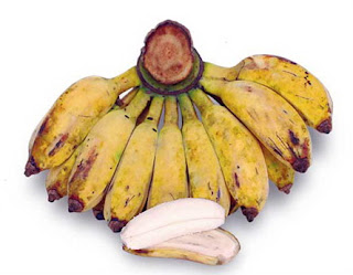 Image result for pisang kepok