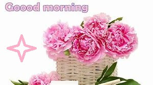 111 Good morning flowers images free download wallpapers with quotes pics