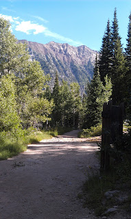 Red Pine Trail Alta Utah