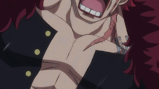 ワンピース アニメ 977話 ユースタスキッド ギザ男 CV.浪川大輔 EUSTASS KID ONE PIECE Episode 977