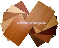 mẫu cửa gỗ veneer | cua go veneer