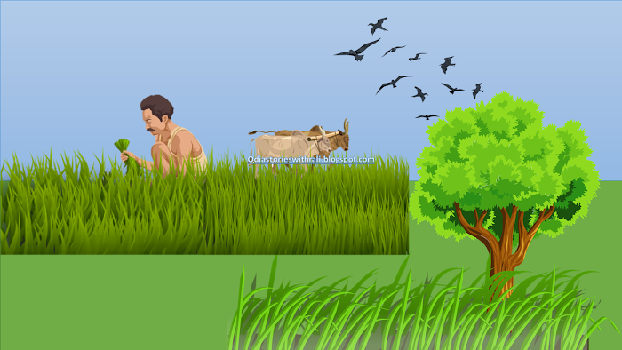 କୃଷକ ଏବଂ ତାଙ୍କର ଯାଦୁ | / The farmer and his magic