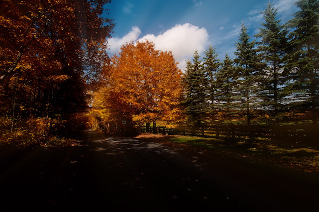 A rural road in the fall in Oro-Medonte Township.