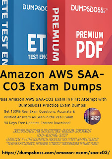 AWS SAA-C03 Exam Dumps