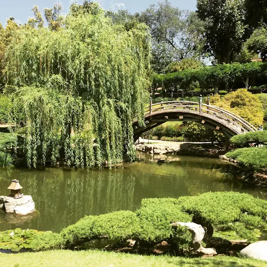 Huntington Library, Art Collections and Botanical Gardens.