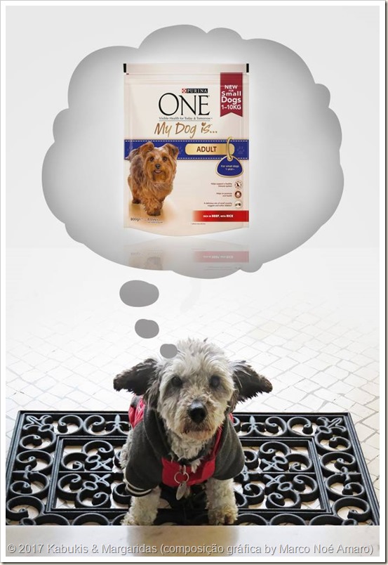 Purina One My Dog is...