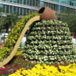 View album