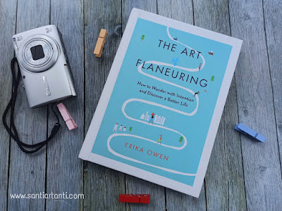 Review The Art of Flaneuring