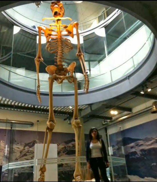 A supposed Giant being discovered in Ecuador stands at 7ft 4in tall