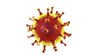 Corona Virus