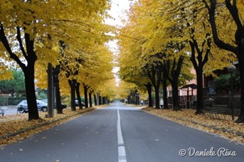 Viale