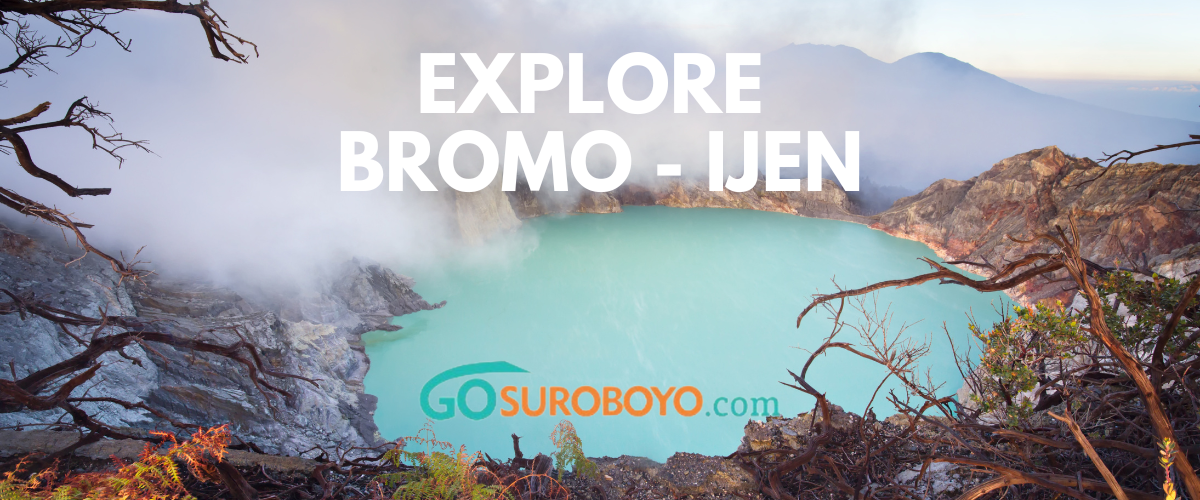 private wisata bromo ijen