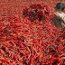 Duh, Penggemar Sambal Harus Siap-siap Pusing Nih, karena...