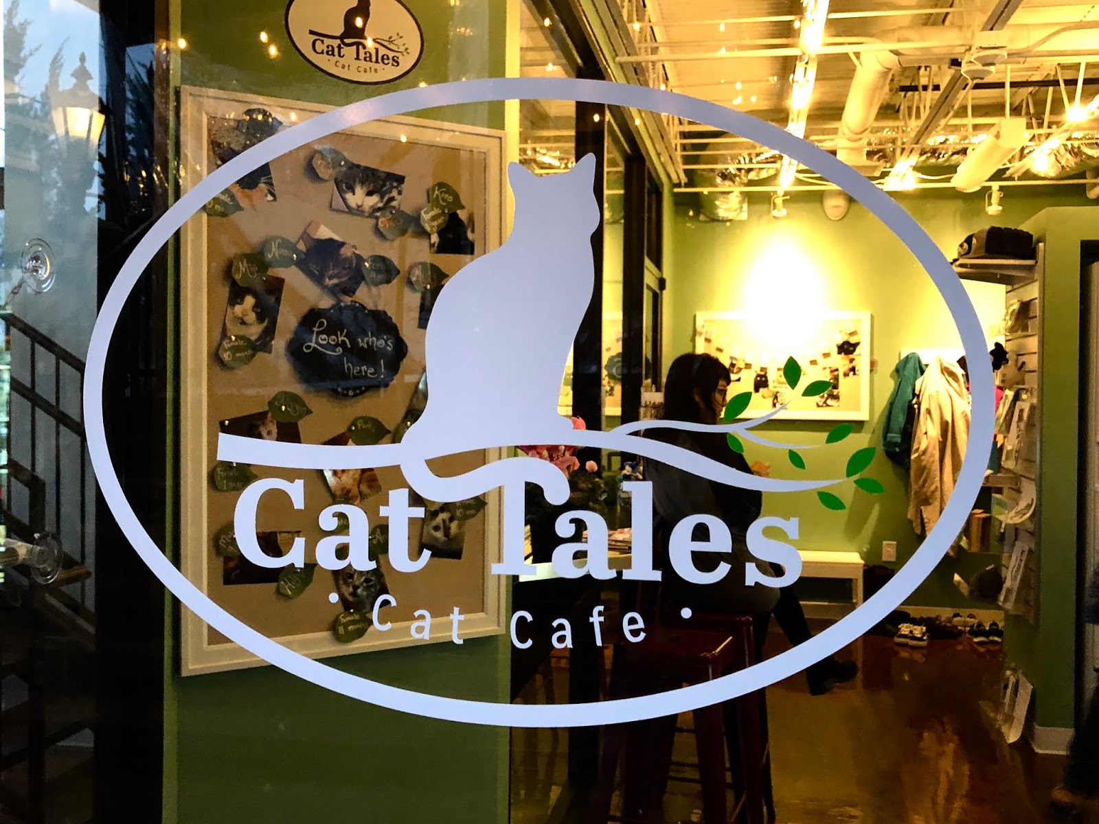 Places Cat  Tales Cat  Cafe  in Chapel  Hill  North Carolina