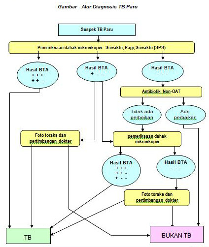 Tes Dahak Positif Tb Namun Hasil Rontgen Negatif - Tanya Alodokter