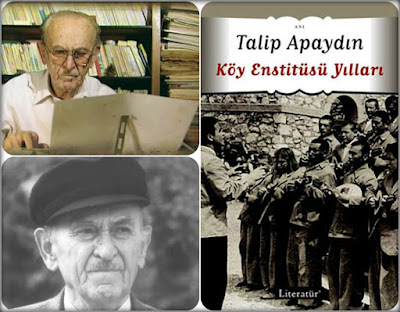 Talip Apaydın - Köy Enstitüsü Yılları