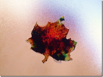 suncatcher autunnale
