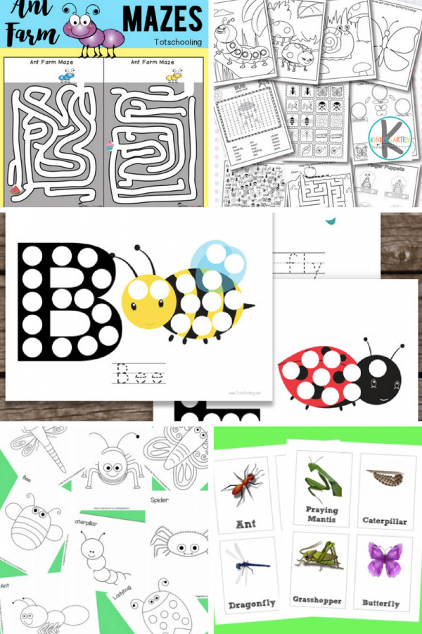 Download Kindergarten Worksheets and Games: 28 FREE Insect Worksheets