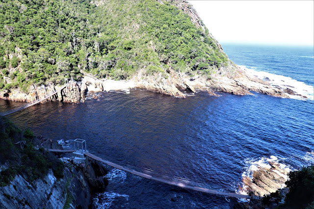 Suspension Bridge, Tsitsikamma National Park, South Africa