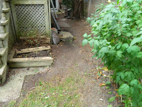 Toronto High Park Back Yard Fall Cleanup After by Paul Jung Gardening Services--a Toronto Organic Gardener