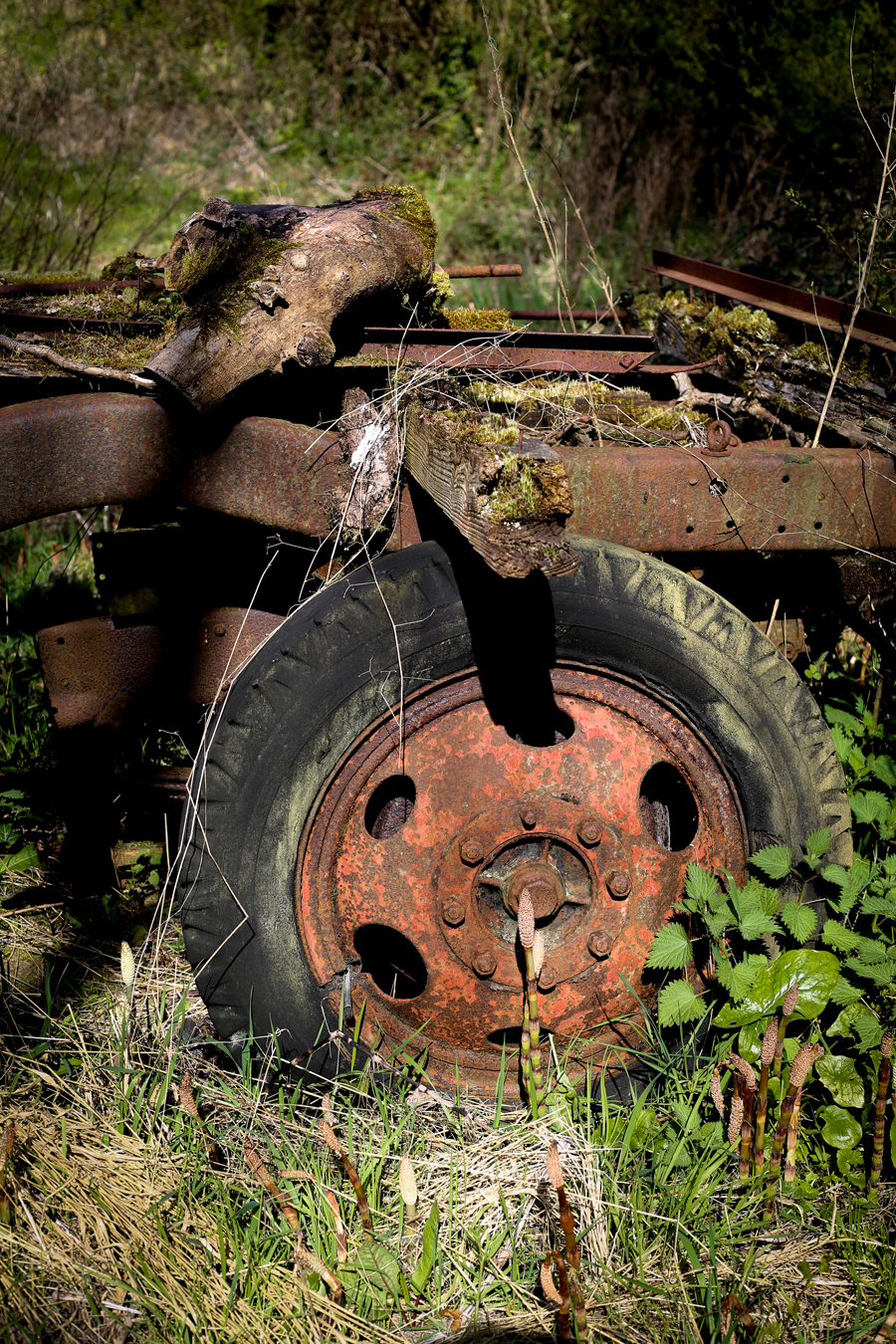 rustic trailer photograph in colour