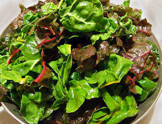 Chard Leaves almost Overflowing Saute Pan