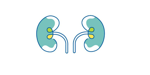 diabetic kidney disease