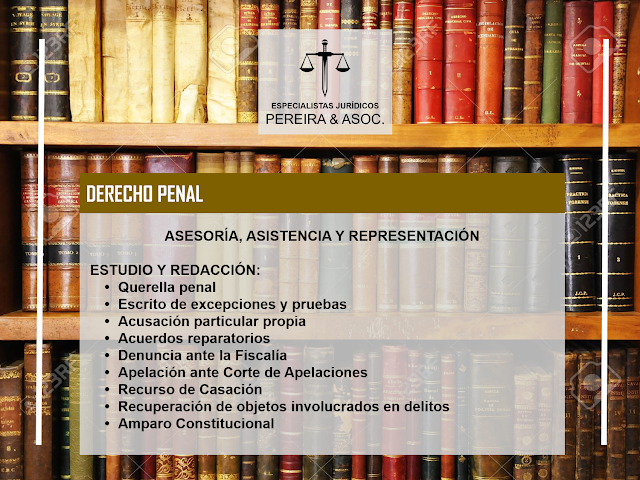 Servicios Legales Penal 2