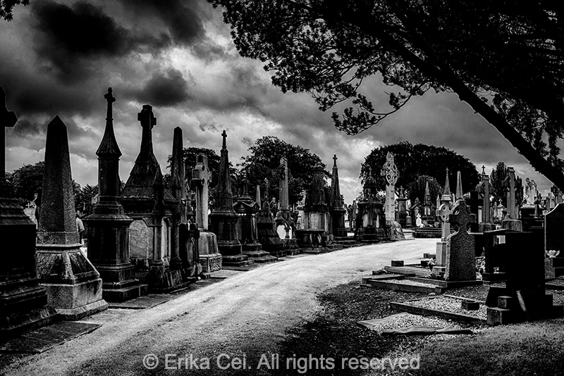 Glasnevil cemetery Ireland Dublin