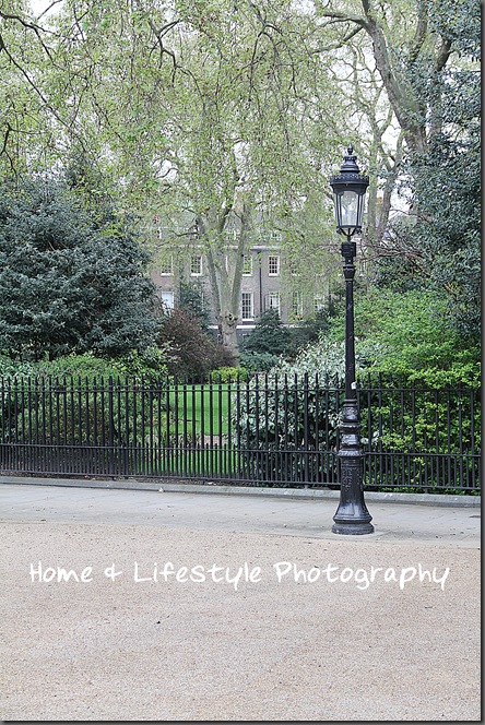 Home & Lifestyle
