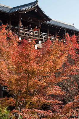  東福寺紅葉