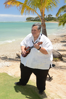 Ukulele Player