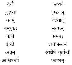 NCERT Solutions for Class 10 Sanskrit Shemushi Chapter 2 बुद्धिर्बलवती सदा