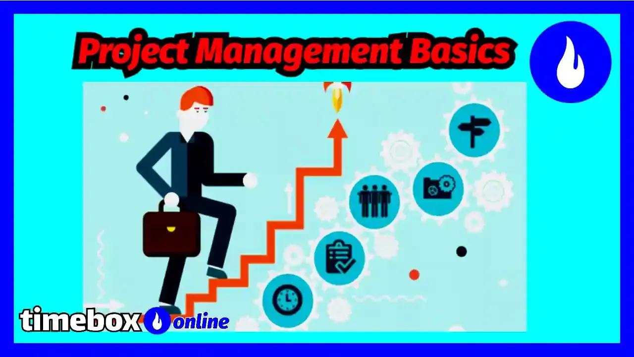 Project Management Basics Your guide to project management best practices 2024