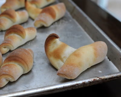 Homemade Butterhorns, mis-shapen, easy to prevent by placing tip-side down on the baking sheet.