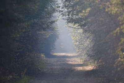 Trans Canada Trail KVR British Columbia.