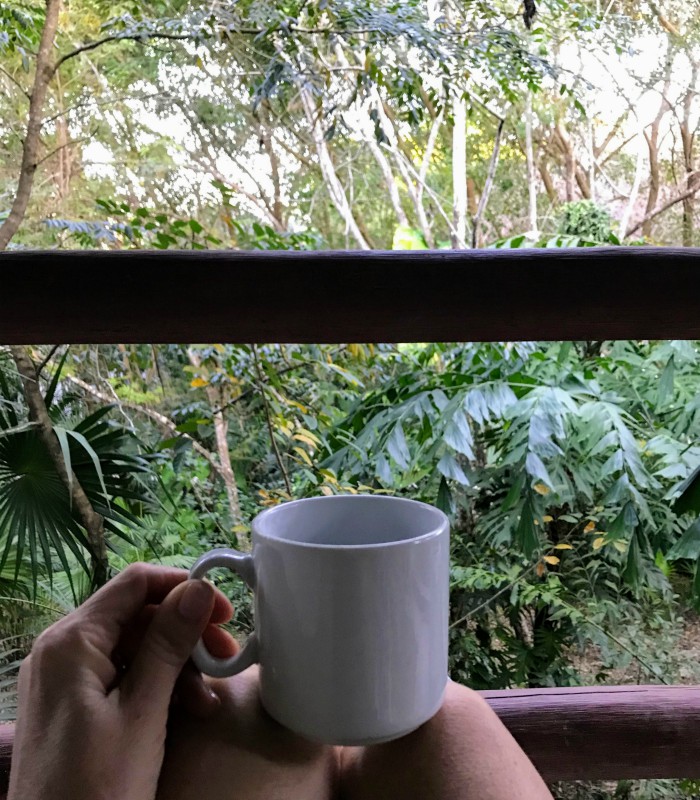 Cozumel - coffee view